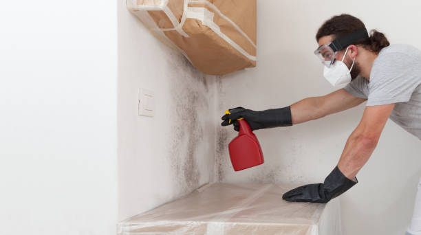 Professional Mold Removal technician working in Franklinton, NC