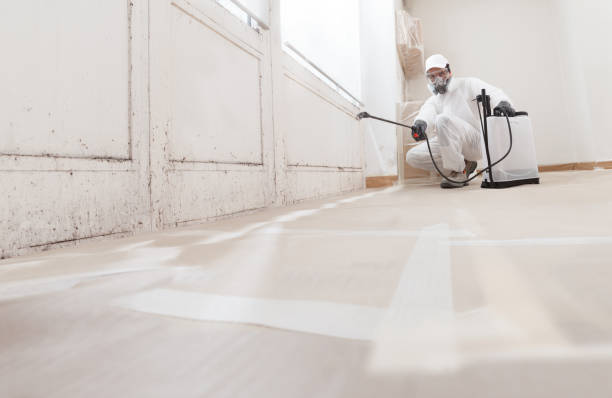 24/7 Emergency Mold Removal experts in Franklinton, NC
