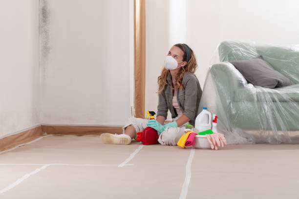 Reliable Mold Removal contractor in Franklinton, NC by 24 Hour Mold Removal